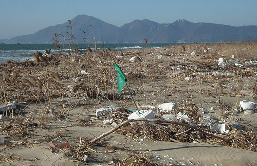 최대의 생태관광자원 무인도에 쌓이는 해양쓰레기